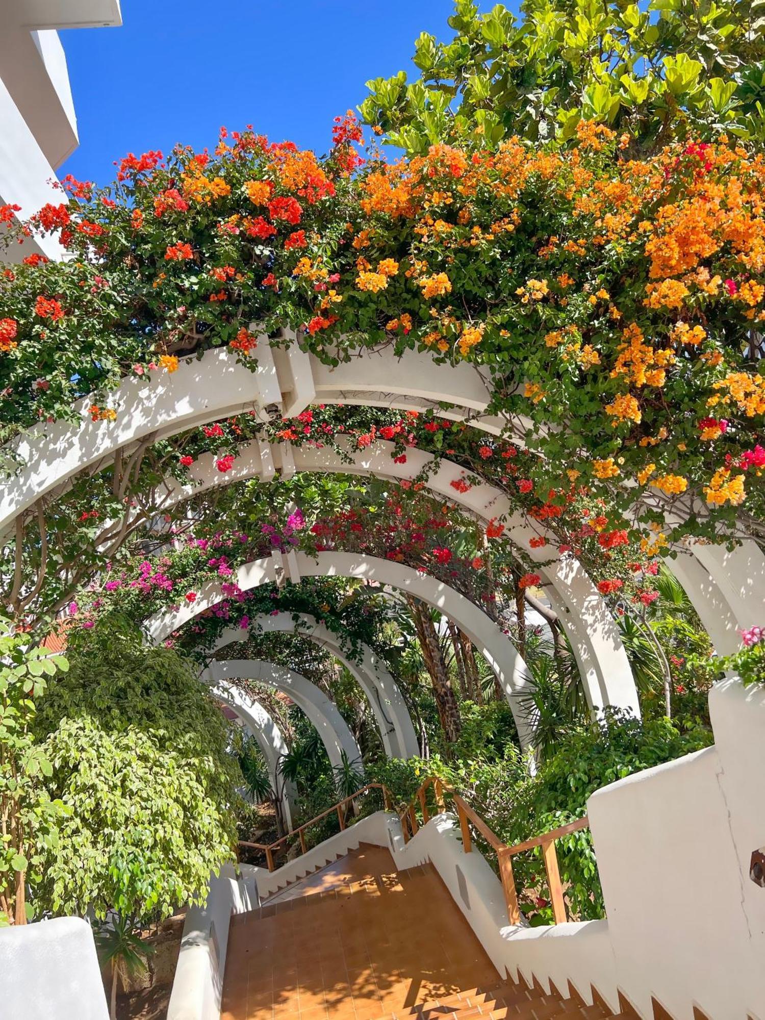 Tenerife Paradise Anna Studio Costa Adeje  Exterior foto